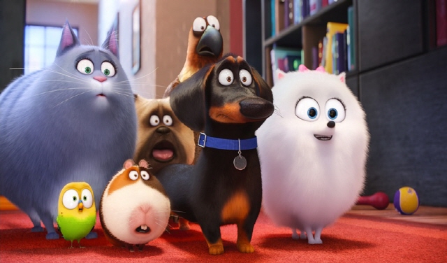 640Max2015LifeofPets_s08.jpg