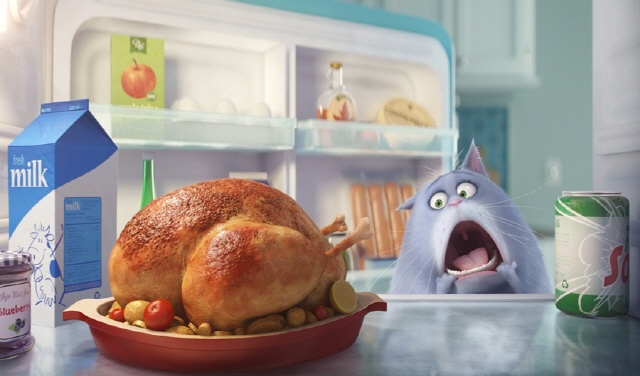 640Max2015LifeofPets_s04.jpg