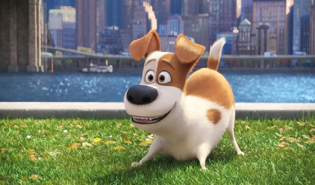 640Max2015LifeofPets_s05.jpg