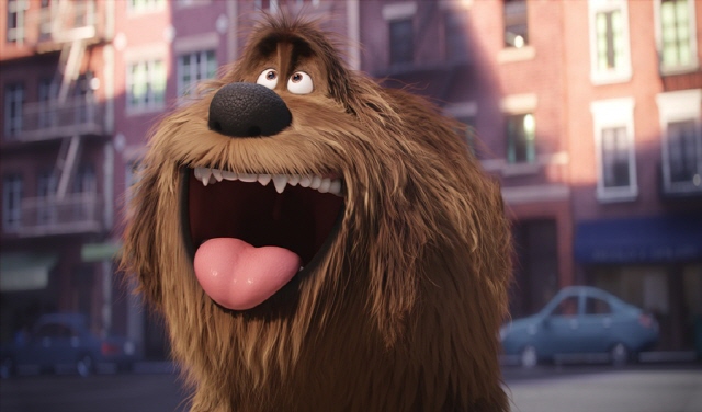 640Max2015LifeofPets_s06.jpg