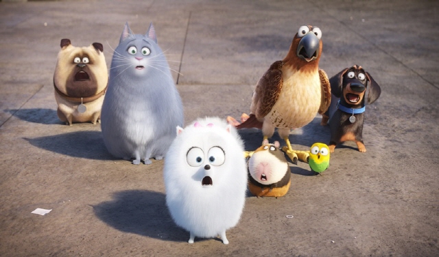 640Max2015LifeofPets_s09.jpg