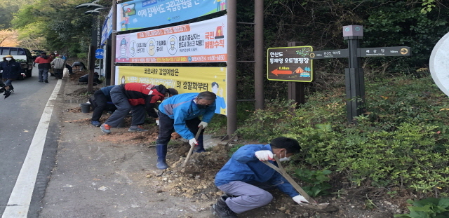 [포맷변환][크기변환]한산일주도로 수국꽃길 조성2.jpg